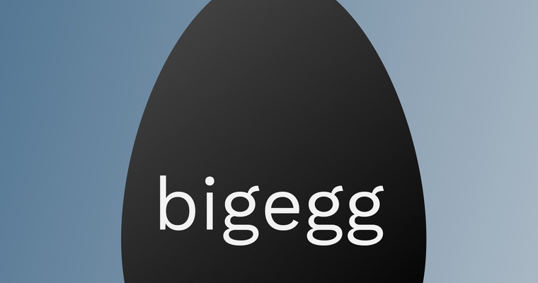 About BigEgg